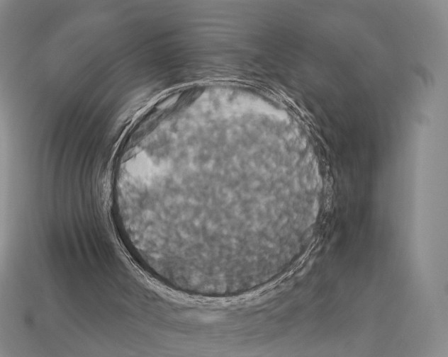 X0000111910002200909071206