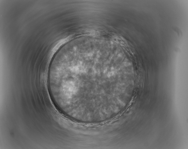 X0000111910003200909071206