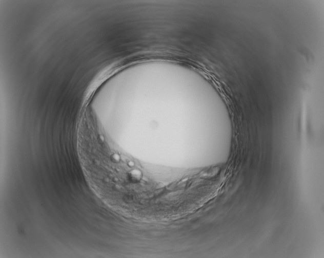 X0000111910004200909071206