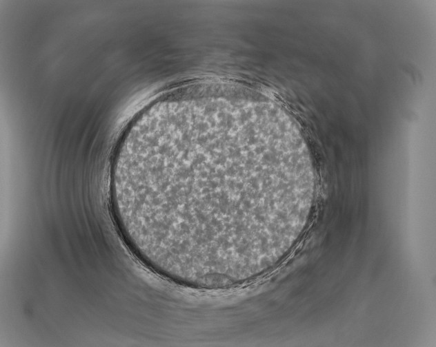 X0000111910005200909071206