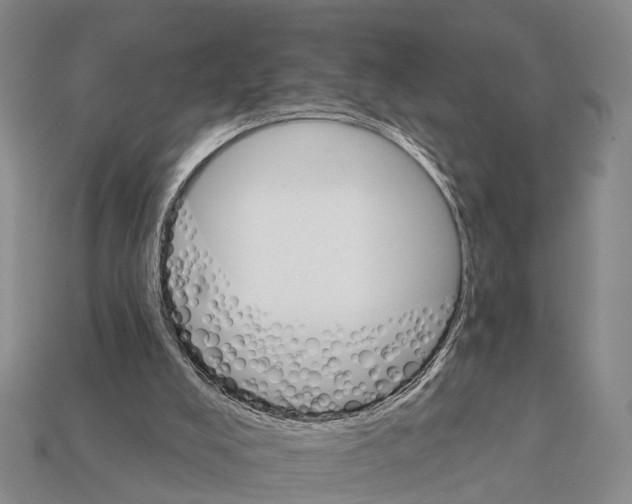 X0000111910008200909071206