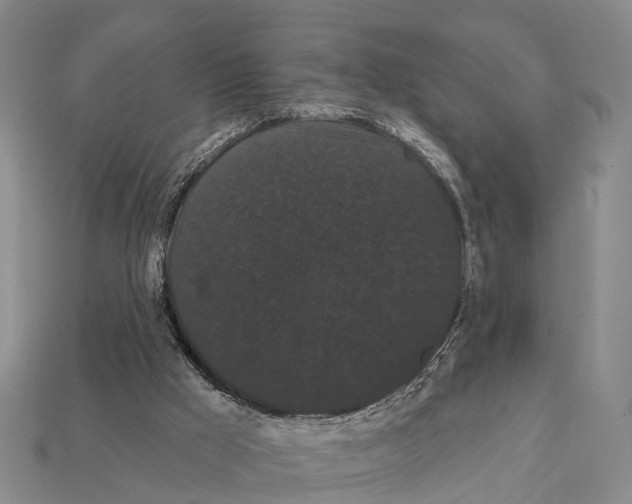 X0000111910009200909071206