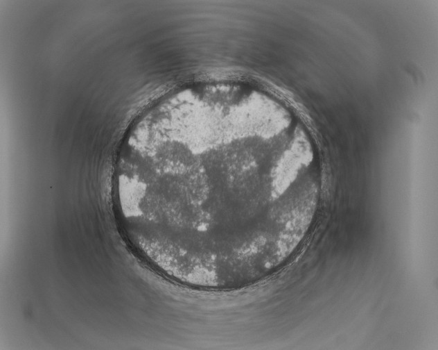 X0000111910010200909071206