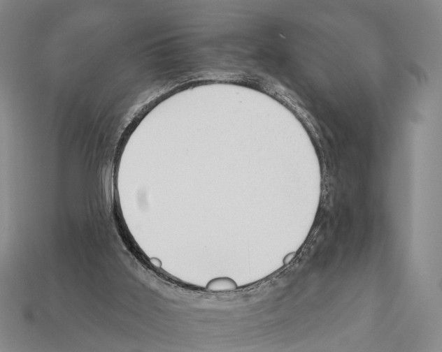 X0000111910011200909071206