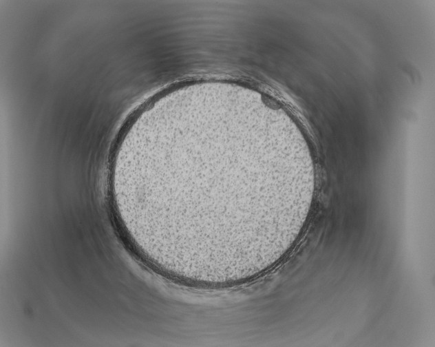 X0000111910012200909071206