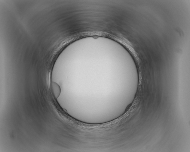 X0000111910013200909071206