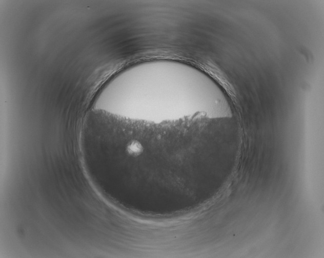 X0000111910014200909071206