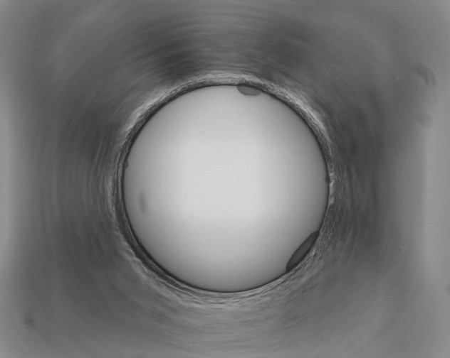 X0000111910015200909071206