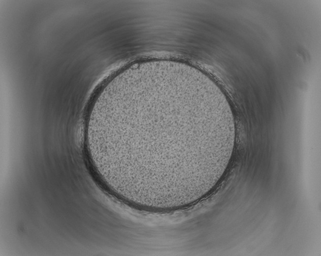 X0000111910016200909071206