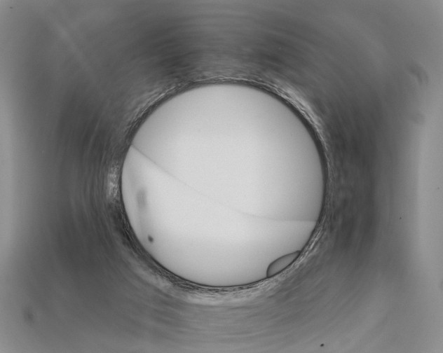 X0000111910017200909071206