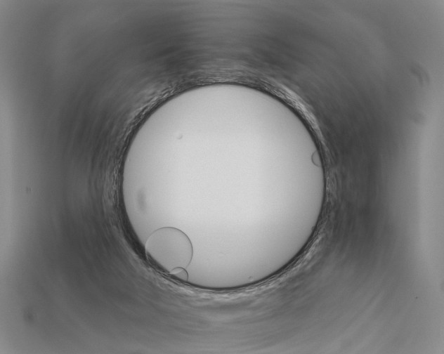 X0000111910018200909071206