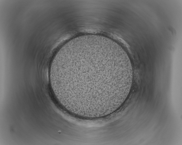 X0000111910020200909071206