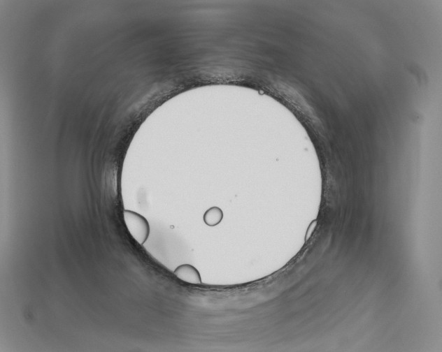 X0000111910021200909071206