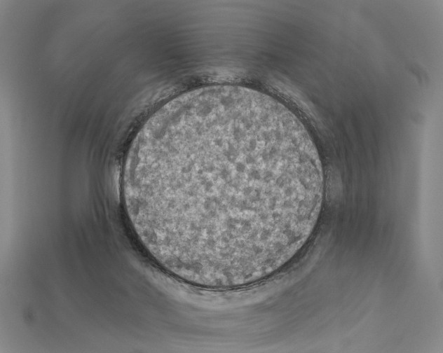 X0000111910022200909071206