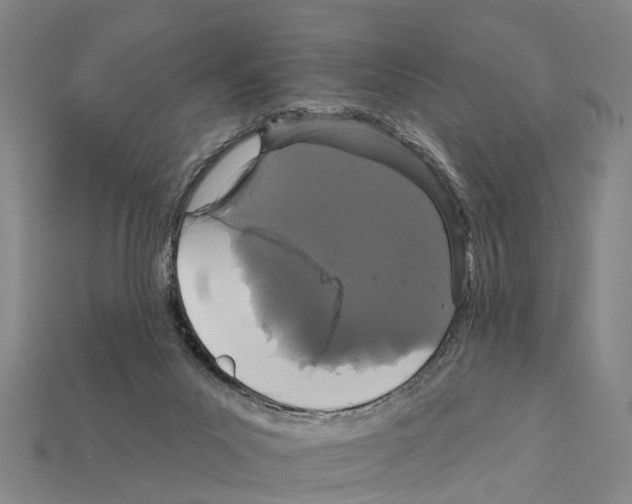 X0000111910023200909071206