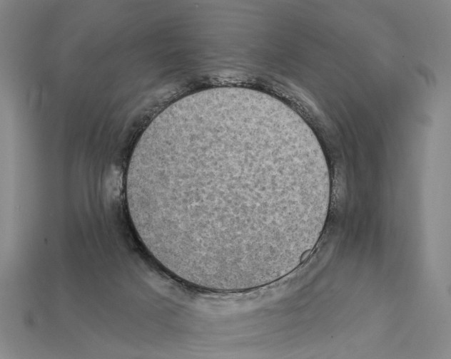 X0000111910025200909071206