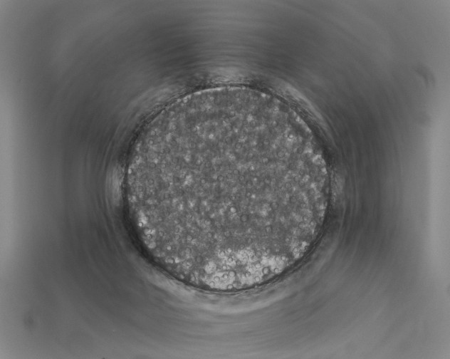 X0000111910026200909071206