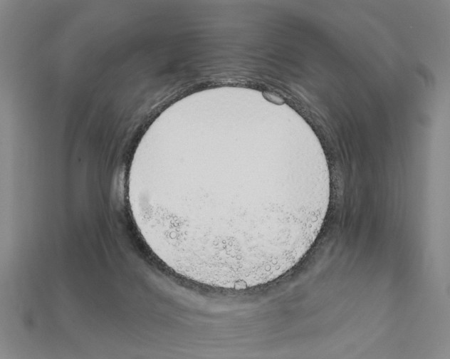 X0000111910028200909071206
