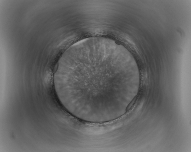 X0000111910029200909071206
