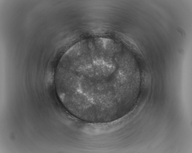 X0000111910033200909071206