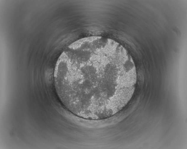 X0000111910034200909071206