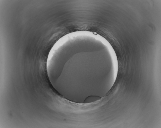 X0000111910035200909071206