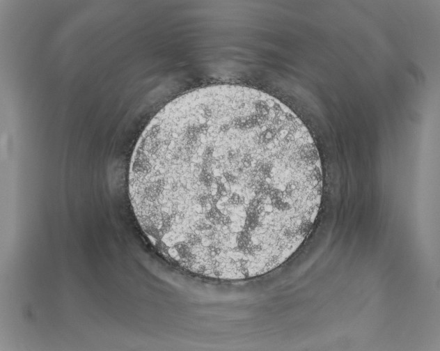 X0000111910036200909071206