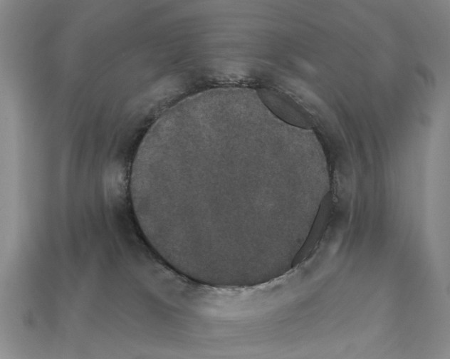 X0000111910037200909071206