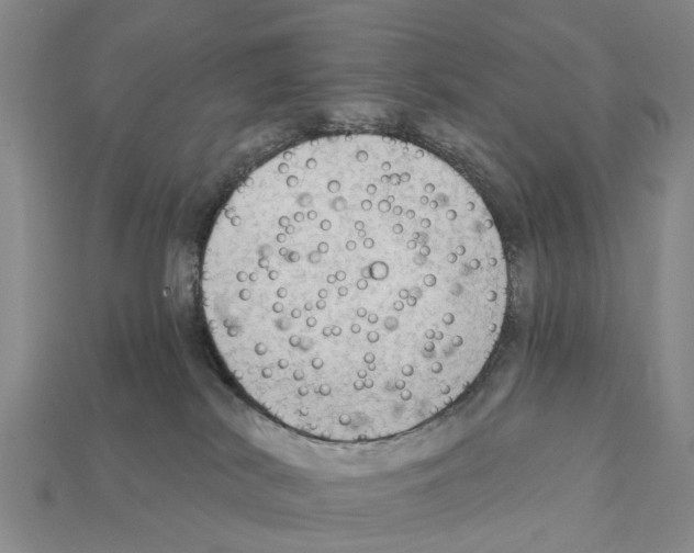 X0000111910038200909071206