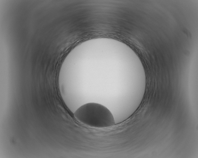 X0000111910039200909071206