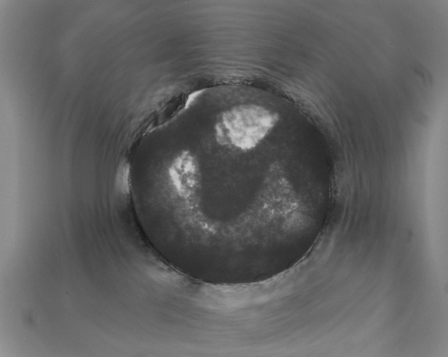 X0000111910041200909071206