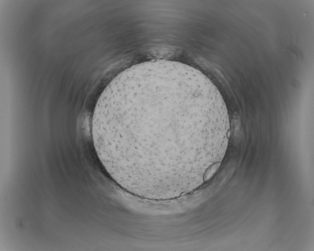 X0000111910042200909071206