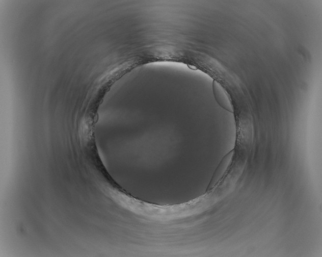 X0000111910043200909071206