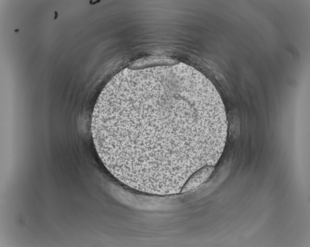 X0000111910044200909071206