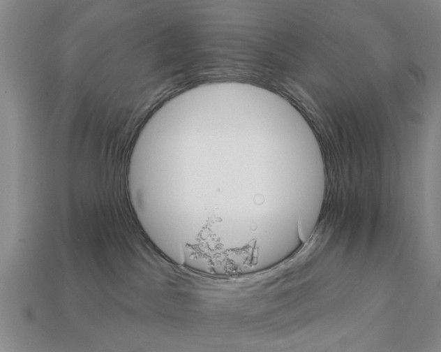 X0000111910045200909071206