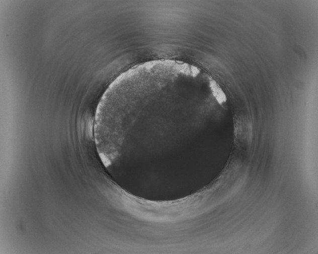 X0000111910046200909071206