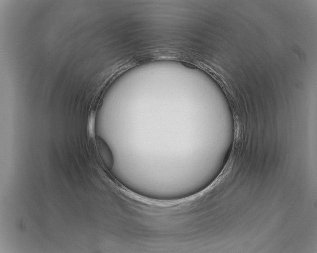 X0000111910047200909071206