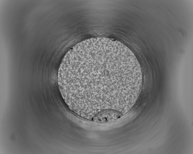 X0000111910048200909071205
