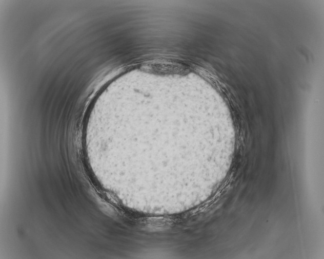 X0000111910050200909071205