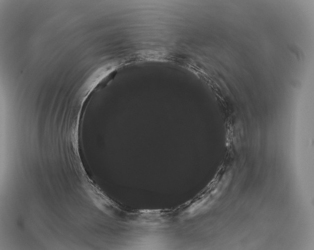X0000111910052200909071205