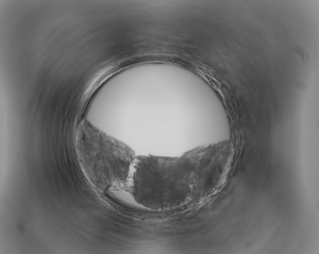 X0000111910053200909071205