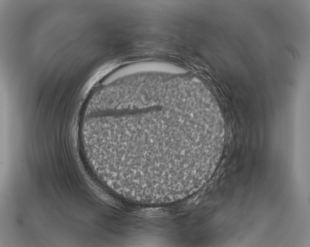 X0000111910054200909071205
