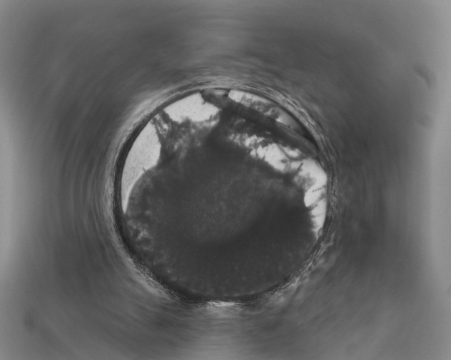 X0000111910055200909071205