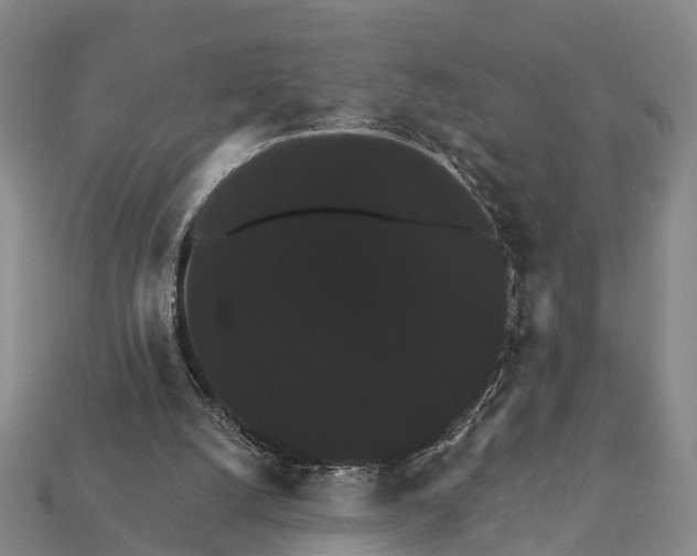 X0000111910056200909071205
