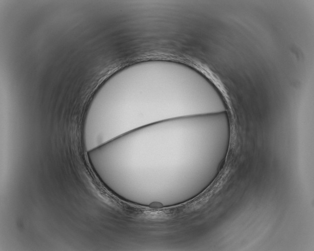 X0000111910057200909071205
