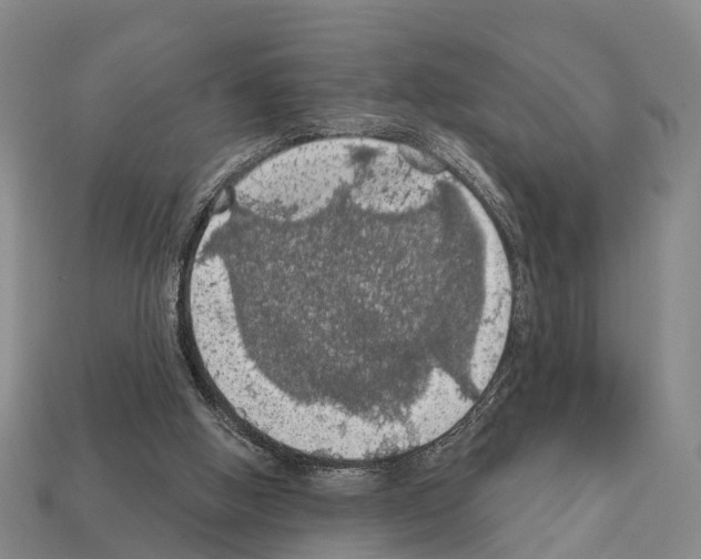 X0000111910058200909071205