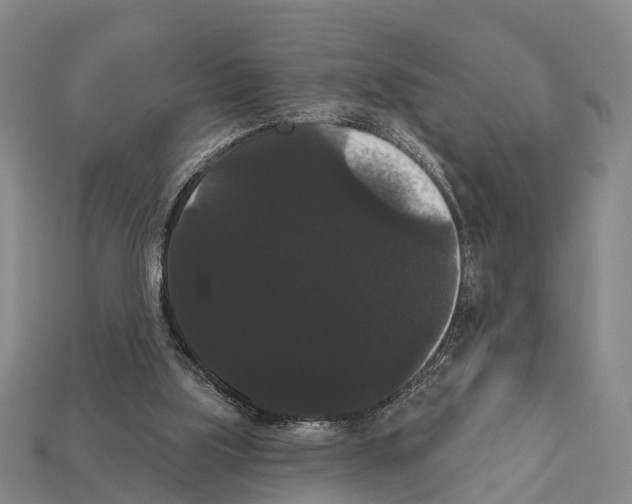X0000111910059200909071205
