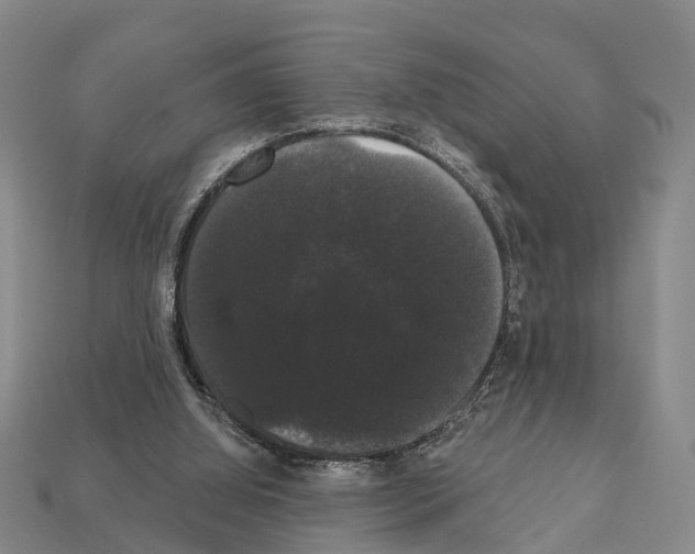 X0000111910060200909071205