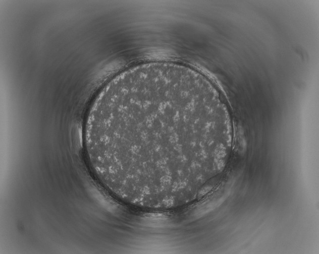 X0000111910061200909071205