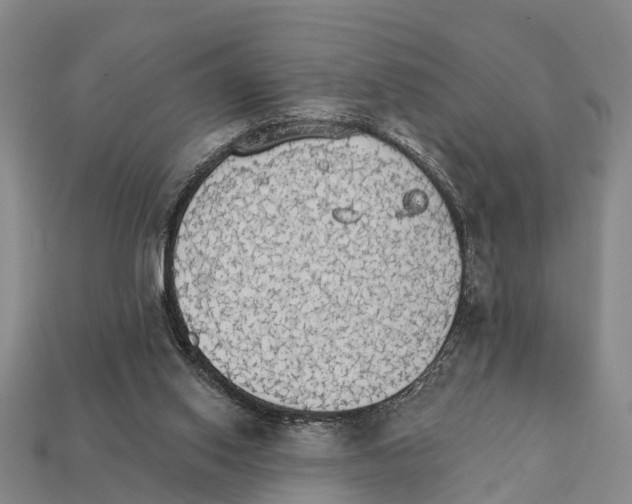 X0000111910062200909071205
